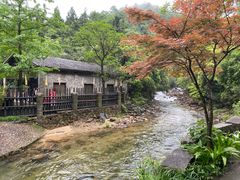 -姑婆山旅游区