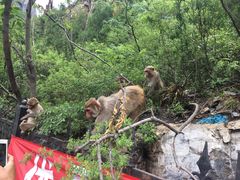 -北京上方山国家森林公园