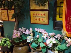-小凤庭·地道湖北菜武昌鱼·藕汤(38年黄鹤楼店)