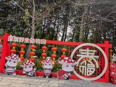 -深圳野生动物园