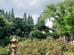 -龙华寺