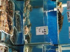 -大城·烧烤海鲜大排档(台东店)
