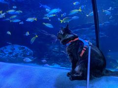 -太平洋海底世界