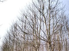 -滨湖塘西河公园