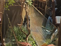 -杏花村水席楼·洛阳水席(老城十字街店)