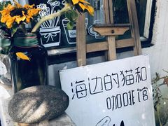 -海边的猫和咖啡馆
