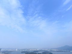 -紫峰大厦