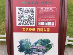 -桃花岭景区