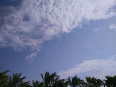 -瑶湖郊野森林公园