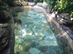 -韶关经律论国际酒店温泉