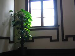 楼梯平台-上海浦江饭店