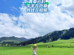 -新疆那拉提国家旅游度假区
