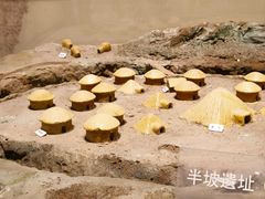 -上海自然博物馆