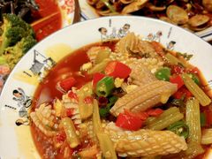 -福苗小骆驼烧烤(莲湖路店)