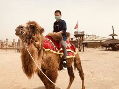 -镇北堡西部影城