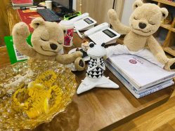 -元泉瑜伽培训学院