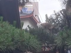 -苏州河梦清园环保主题公园