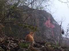 -终南山南五台景区
