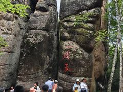 -汤旺河林海奇石景区