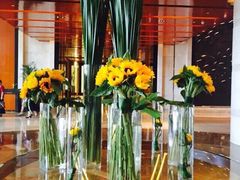 iphone_upload_pic-海豚之星游泳俱乐部(喜来登馆)