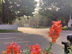 -海心沙亚运公园