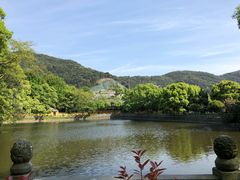 -小海豚国际游泳培训中心(浦东塘桥店)