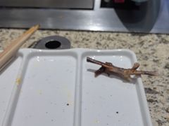 -丰茂烤串(卫星广场店)