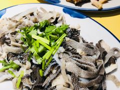 -同合居·非遗东北菜(新阳路店)