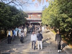 -灵谷景区