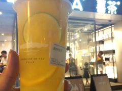 满杯橙子-喜茶(中山白水井店)