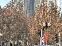 -天津五大道文化旅游区