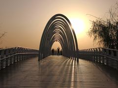 -大兴滨河森林公园