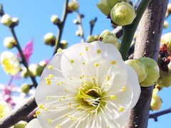 -天鹅湖体育公园