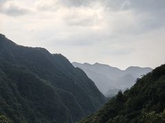 -娄山关景区