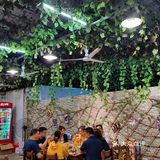 结果，被震惊了，真的太好吃啦️五花肉味道非常棒