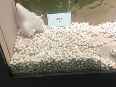 -杭州西湖丝绸文化博物馆