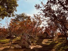 -广州市帽峰山景区