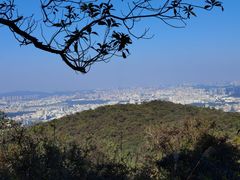 -东莞市大岭山森林公园