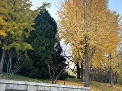 -玲珑塔公园