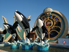 -上海海昌海洋公园-停车场