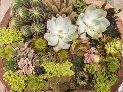 -千纸鹤嫩汁烤肉(西大直街店)