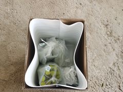 -马陆小张葡萄园农家乐