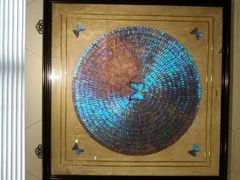 android_upload_pic-上海昆虫博物馆