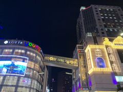 -乐天免税店(明洞店)