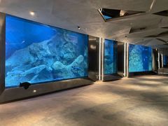 -渔火·特色餐厅(佘山世茂洲际酒店)