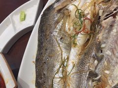 -正阳春烤鸭店(杨楼店)