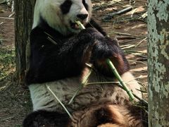 -西霞口神雕山野生动物世界