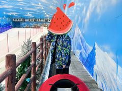 -世界之窗阿尔卑斯冰雪世界