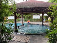 -雅安楠水阁温泉酒店