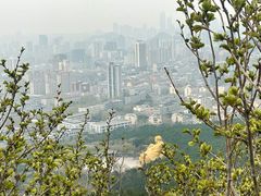 -千佛山风景名胜区